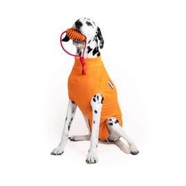 MPS Medical Pet Shirt Dog, Surgery Recovery Suit, Orange, Medium
