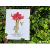 Merejka Counted Cross Stitch Kit Amaryllis K-202