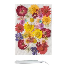 Cayway 42 Pcs Real Pressed Flowers Dry with Tweezers Set, Dried Pressed Flowers Colorful Real Pressed Flowers for Resin Scrapbooking DIY Art Crafts, Epoxy Resin Jewelry, Soap Making