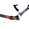 Start RainbowCloth Lined Headcollar for Horses, Adjustable Rainbow Pattern, One
