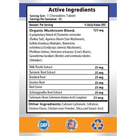 pet Immune System Booster - PET Immune Support - Dogs and Cats - VETS Choice - Chews - Dog Turmeric Chews - 1 Bottle (60 Treats)