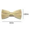 tiemart Men's Pre-Tied Clip-On Bow Tie (Sparkling Champagne)