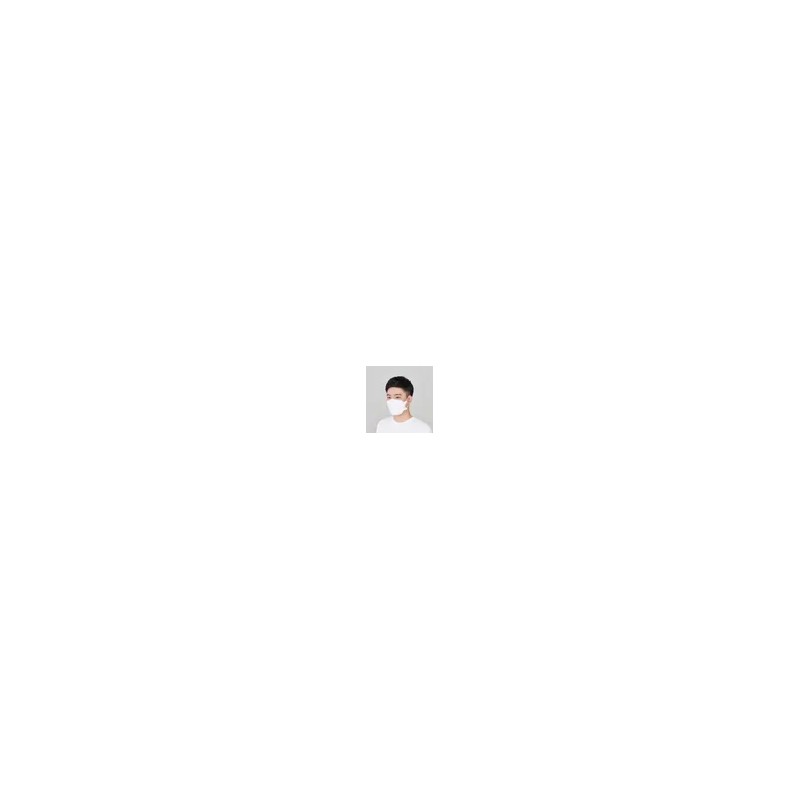 Kookdae Mask [1+1] KF-AD 국대마스크 비말차단 일회용 3D 중형 대형