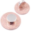 Brudazon 10 Mini Disc Magnets 10 x 3 mm N52