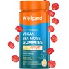Wellgard Vegan Sea Moss Gummies, Formulated for Immunity with Iodine,