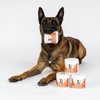 NutriPaw NutriPaw Dental Formula & Probiotics Bundle - Soft Chews