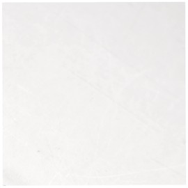 Matsunami Glass Industry C024241 Square Cover Glass, No. 1, 200 Pieces