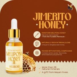 Jimerito Stingless Bee Melipona Honey Drops 30ml – 100% Pure and Unprocessed – Ancestral Mayan Honey from Yucatán Peninsula