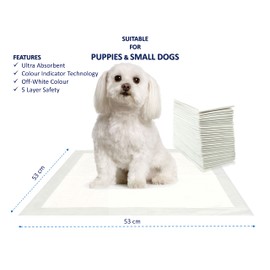30 X Ultra Super Absorbent Puppy Pads Training Pads with Colour Indicator 5 LAYER SAFETY Dog Toilet Pads Pee pads for Dogs (53 X 53CM) Small Dog Training Puppy Pads (30 Pads (1 Pack))