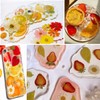 70PCS+ Nature Dried Pressed Fruits Flowers for Resin Mold, Real
