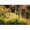 Fiskars Spreader, Solid, Length: 30 cm, Weight: 286 g, Glass