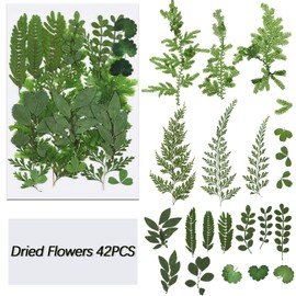 42 Pieces Dried Pressed Leaves Dried Flowers for Resin Real Assorted Dried Greenery for Pressed Leaf Art Craft DIY Embellishment Decorations, 7 Styles