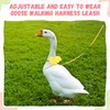 SATINIOR 3 Pack Harness and Leash for Real Ducks, Funny
