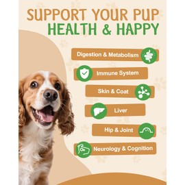 9 in 1 Mushroom for Dogs - Mushroom Supplement for Dogs - Digestive, Skin, Joint, Immune System - with 9 Mushrooms - Roast Chicken Flavor, 60ML