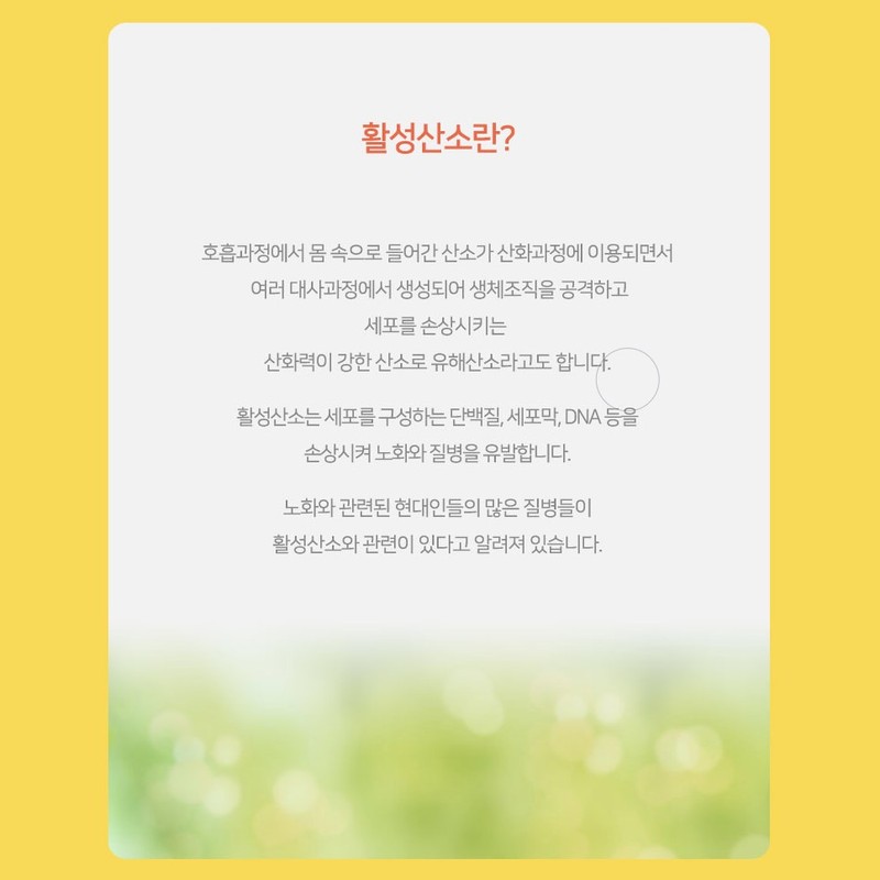 WELLERS 리포좀 비타민C 500 식약청인증 리포조말 비타민씨 높은 흡수율 효능