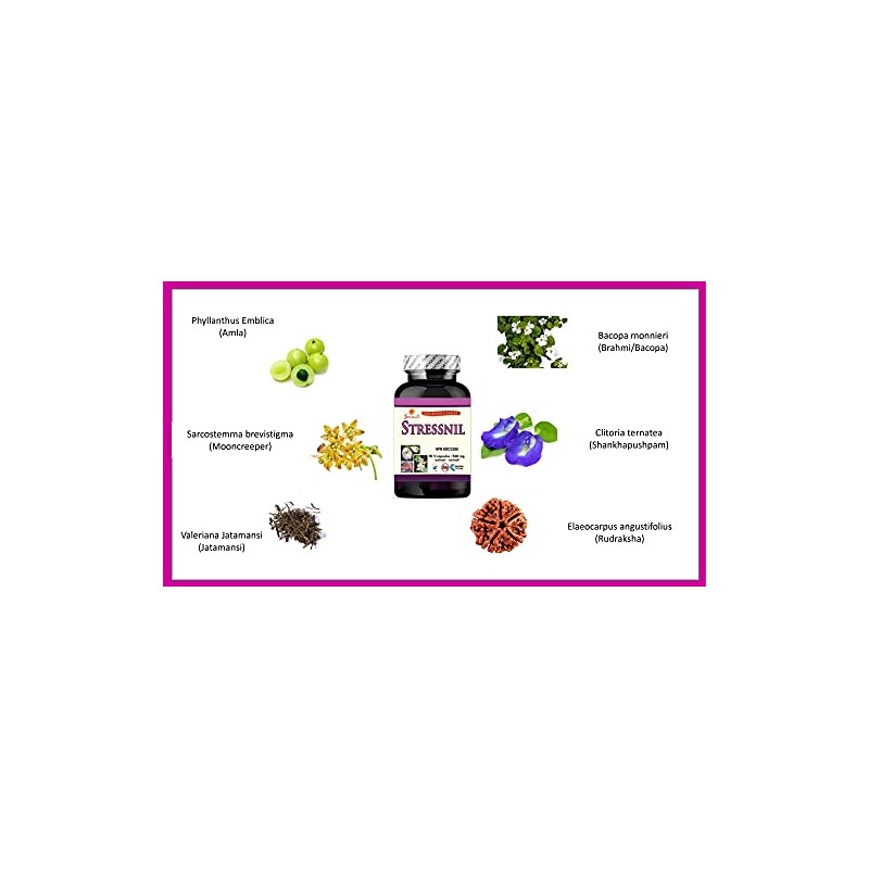 Sewanti Sewanti Stressnil 90 Capsule NPN 80023388, multicolor, 100 gram