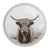 NEWzone 4 Pack White Cabinet Knobs, Highland Cow Decorative Kitchen