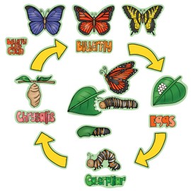 Story Time Felts Butterfly Life Cycle Felt Board Figure Set & Activity Pages