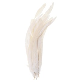 PATIKIL 10-12 Inch Rooster Feathers, 50 Pack Bulk Natural Feathers for Crafts Carnival Handwork Clothing Costumes Wedding Party Style 1, White