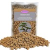 Rurtsva Akadama Bonsai Soil 2lbs Horticultural Potting Soil Amendment Cacti