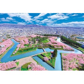 [Made in Japan] Beverly 300 Piece Jigsaw Puzzle Cherry Blossom Colorful Goryokaku (10.2 x 15.0 inches (26 x 38 cm) 300-126