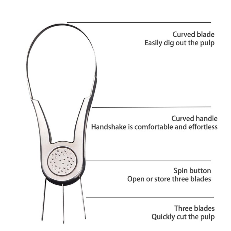 Fruit Slicer Cutter, Mango Splitter with Stainless Steel Blade, Fruit