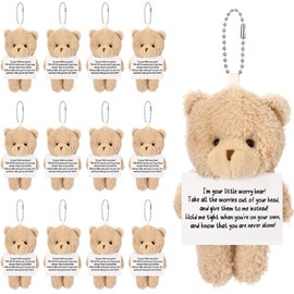 VioraWhite 20 Pcs Worry Bear Keychain Bulk with Hand Card Mini Plush Pocket Hug Bears Keychain for Emotional
