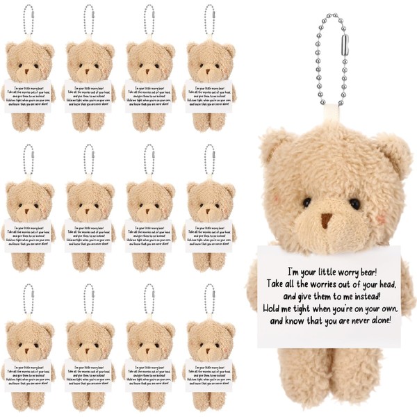 VioraWhite 20 Pcs Worry Bear Keychain Bulk with Hand Card