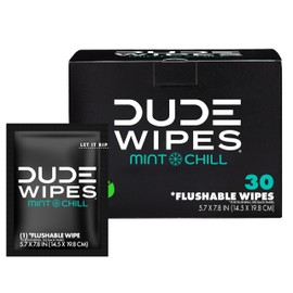 DUDE Wipes On-The-Go Flushable Wipes - 1 Pack, 30 Count - Mint Chill Extra-Large Individually Wrapped - with Eucalyptus & Tea Tree Oil - Septic and Sewer Safe