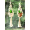 Macrame Car Air Freshener with Succulent Design - Rearview Mirror