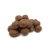 Milk Chocolate Double Dipped Peanuts, Bulk Size (1 lb. Resealable