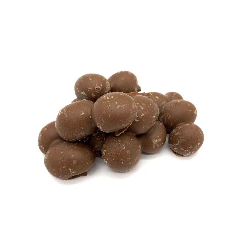 Milk Chocolate Double Dipped Peanuts, Bulk Size (1 lb. Resealable