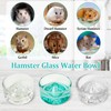 BNOSDM Hamster Food and Water Bowl Mountain Fuji Style Glass