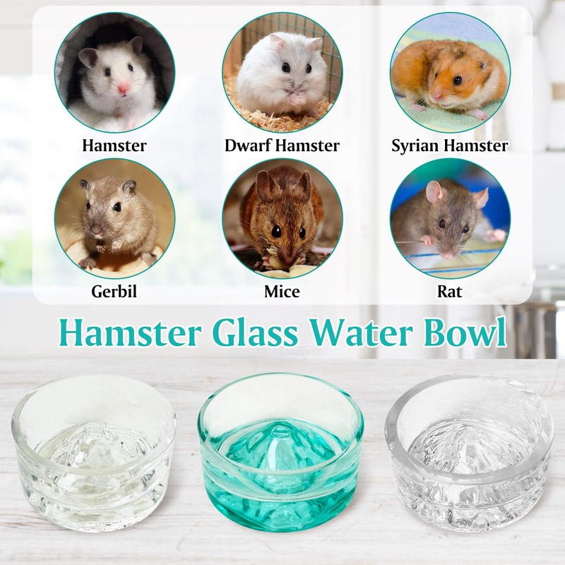 BNOSDM Hamster Food and Water Bowl Mountain Fuji Style Glass