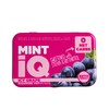 MintiQ Sugar Free Icy Grape, 40 Mints