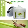 Celltone Snail Gel 1 Jar 1.4 oz Celltone BABA DE
