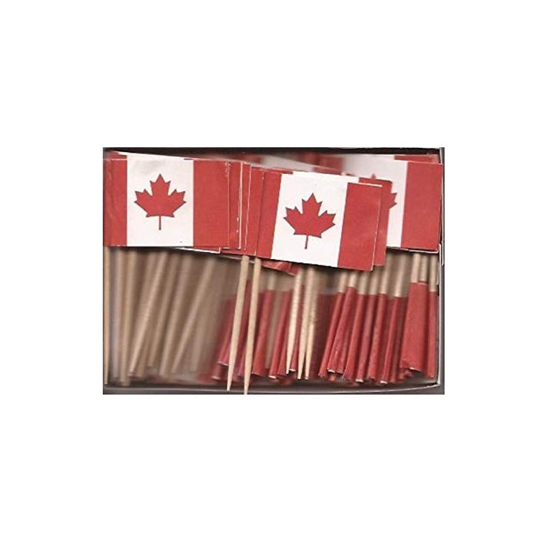 100 Miniature Canada Toothpick Flags, Small Mini Canadian Flag Cupcake