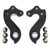 Derailleur Hanger 173