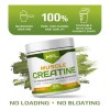 Mfl Creatine Monohydrate Micronizada 5 G Por Porción