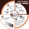 Qualirey 12 Pack Spider Traps Indoor for Brown Recluse Spiders,