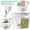 Tealyra - Pure Moringa Leaf Tea - Super Healthy Wellness