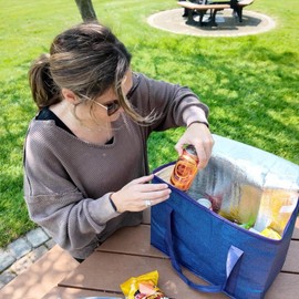 DURASACK Insulated Food Delivery Bag, Blue