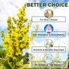 Mullein Gummies for Lungs, 2000 MG(50:1 Extract) Mullein Leaf Extract