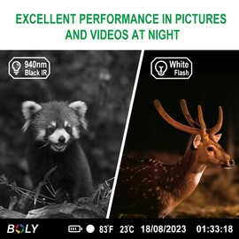BolyGuard 4K 56MP Hunting Camera with up to 30 Metres Infrared Night Vision, Non-Luminous 940nm Infrared LED, IP68 Support for 256G