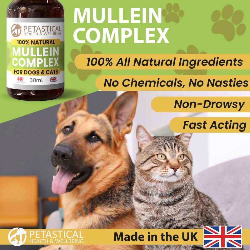 Petastical Mullein Complex for Dogs Cats Pets, 100% Natural Respiratory