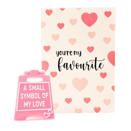 Valentines Day Gifts for Him and Her - Romantic Love Language Sign to Say A Small Symbol of My Love - Cute Birthday, Christmas, Wedding Gift for Girlfriend, Girlfriend, Wife, Fiancee (Baby Pink)