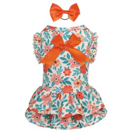 CuteBone Dog Easter Dress Girl Puppy Double Layers Skirt Cat Outfit Pet Clothes for Small Dogs Costume Birthday Gift DR27L