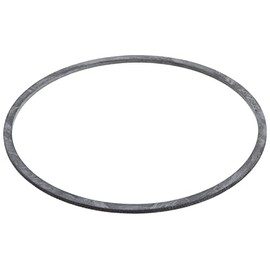 Pentek 143216 Buna-N O-Ring for ST Series Housings