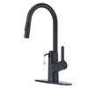 Aktines Pull Dwon Kitchen Faucet with Built-in Soap Dispenser &