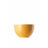 Rosenthal Thomas Sunny Day Müslischale Yellow [SP] UVP: 19,00 €"